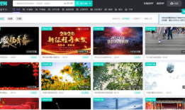 视频素材网站,视频素材网站精选集锦